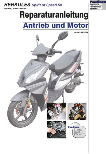Reparaturanleitung ris für - reparaturanleitung,